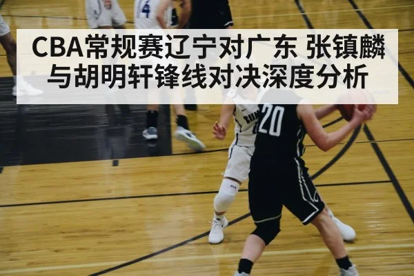 CBA常规赛辽宁对广东 张镇麟与胡明轩锋线对决深度分析